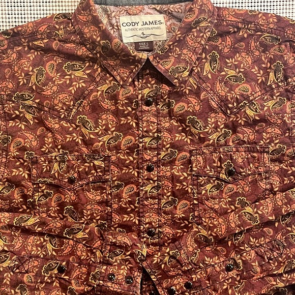 VTG Cody James Country Western Long Sleeve Paisley Pearl Snap Shirt L EUC - Picture 2 of 7